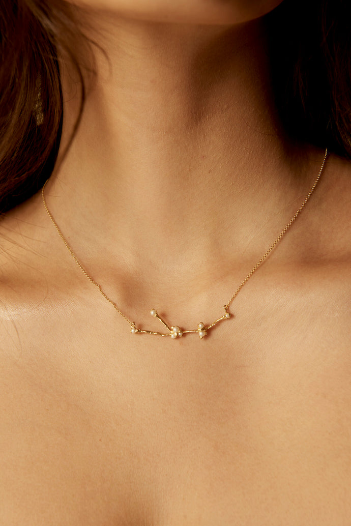 Star Child Aquarius Necklace